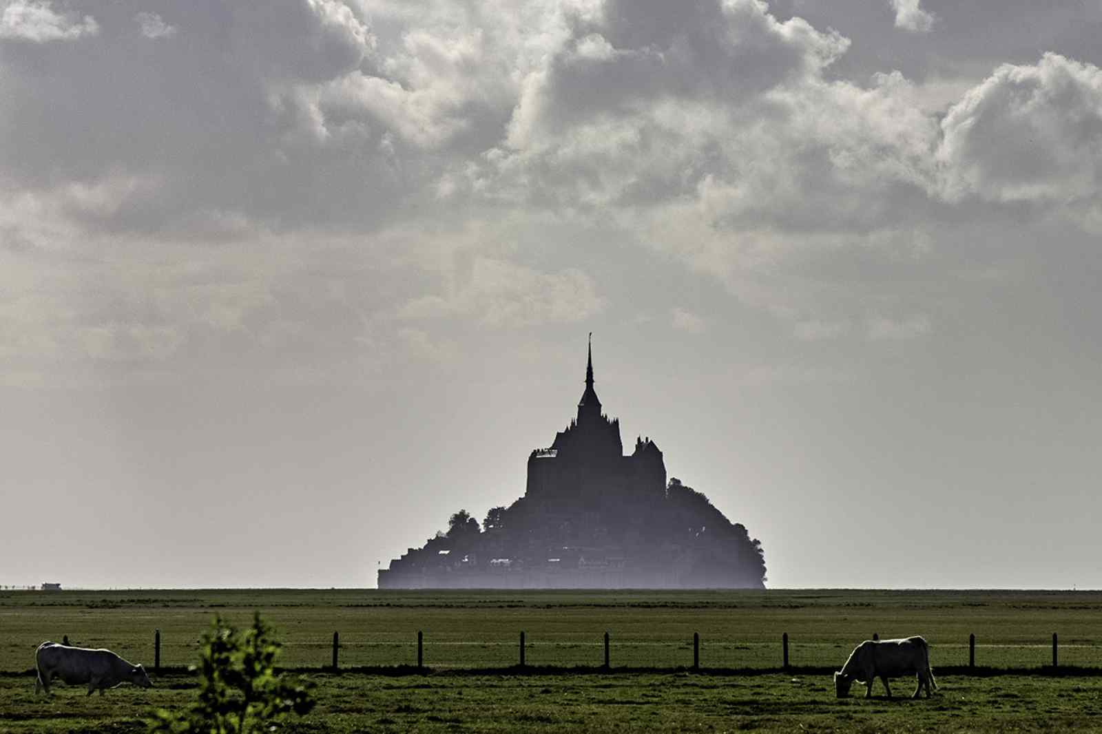 Mt Saint Michel (FR)